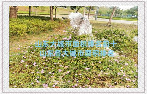 山东大城市面积排名前十 山东各大城市面积排名